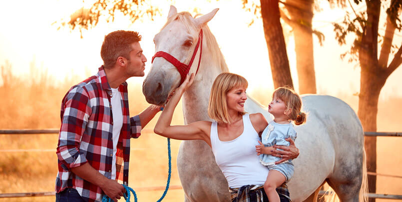 Pferdehaftpflichtversicherung Familie