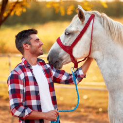 Pferd und Mann