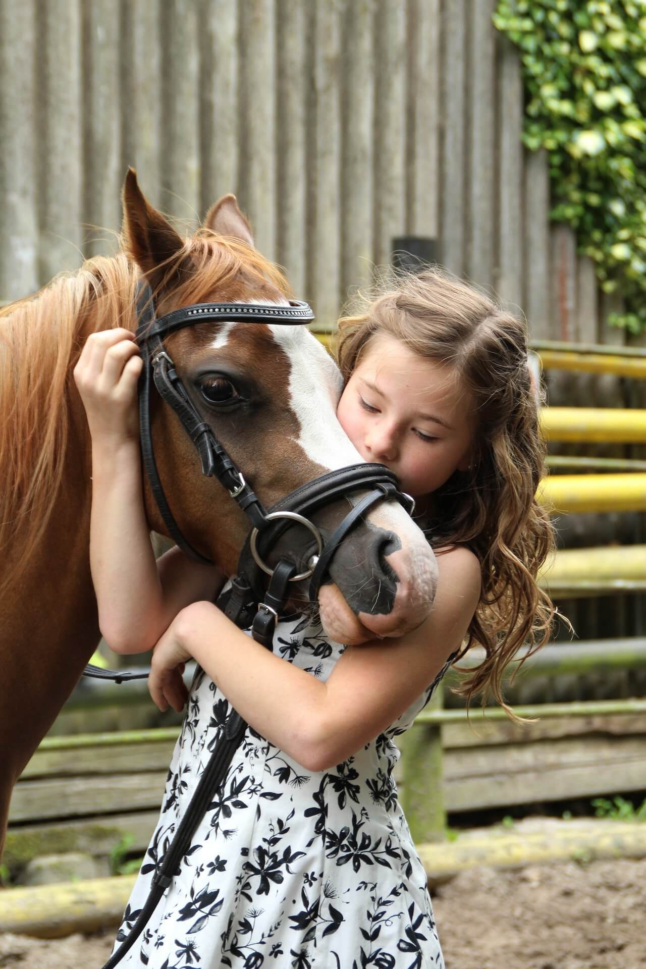 Hilfe Mein Kind Will Reiten Was Eltern Wissen Sollten Reiter Und Ross